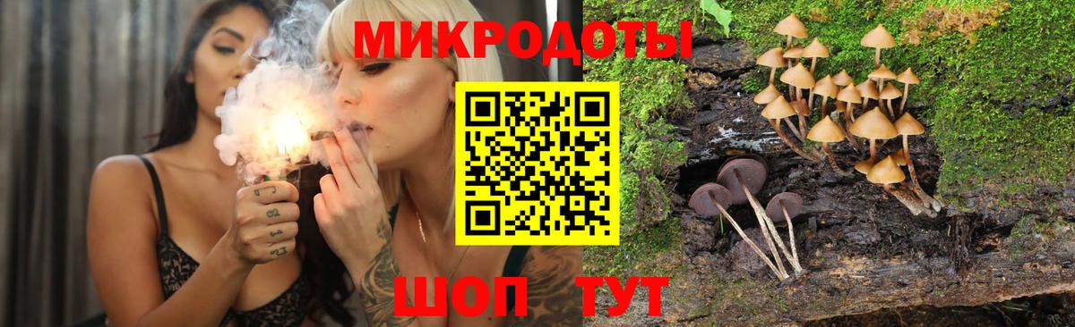 Галлюциногенные грибы ЛСД Луховицы
