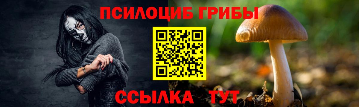 Галлюциногенные грибы ЛСД  Вход с VPN  Луховицы 